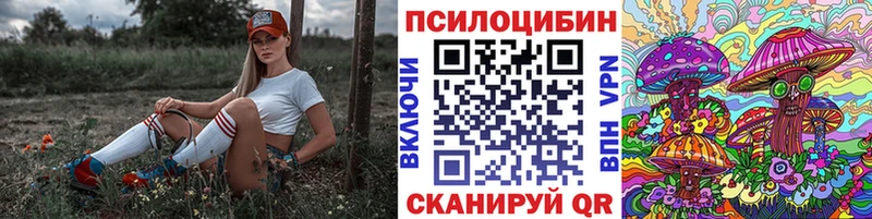 Псилоцибиновые грибы GOLDEN TEACHER  omg маркетплейс  Орехово-Зуево 